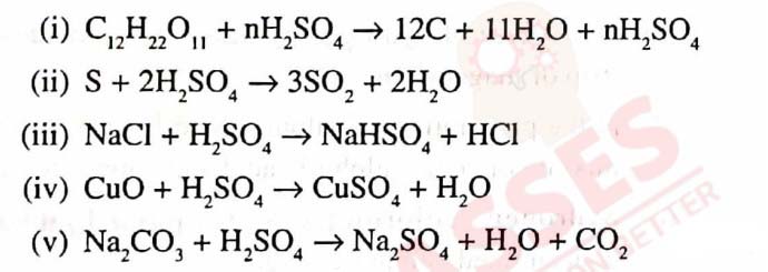 Class10 ICSE Chemistry Chapter Sulphuric Acid